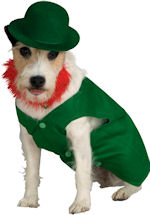 Pet Leprechaun Costume includes hat, beard and jacket.