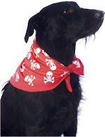 Unbranded Fancy Dress - Pet Skull Bandana