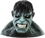 Unbranded Fancy Dress Costumes - Adult Hulk Movie Deluxe Super Hero Mask