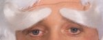 Fancy Dress Costumes - Deluxe Santa Eyebrows