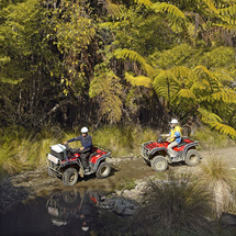 Unbranded Farm Forest 4 Wheel Motorbike Tour - Adult