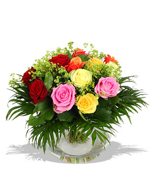 Unbranded Finest Bouquets - Neapolitan