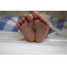 Unbranded Fitted Mattress Protector (Cot Bed)