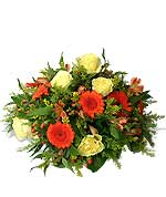 Flowers - Seasonal Gerbera Posy