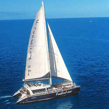 Unbranded Freebird VIP Catamaran Cruise - Adult