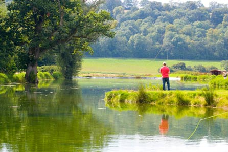 Unbranded Full Day Fly Fishing in Hampshire PFLYF1