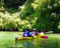 Unbranded Full Day Queen Charlotte Sound Guided Kayak Trip