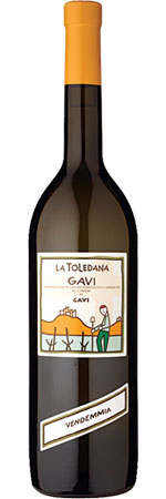 Unbranded Gavi 2012/2013, La Toledana