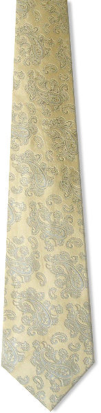 Gold Paisley Tie