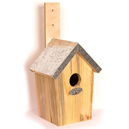 Green Wax Nest Box