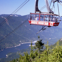 Grouse Mountain and Capilano Suspension Bridge - Adult