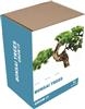 Unbranded Grow It Bonsai Trees: As Seen