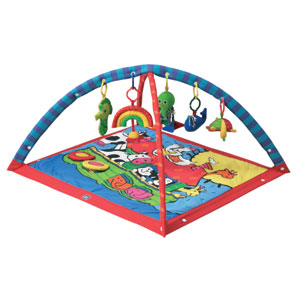 Gymini Deluxe Activity Gym.