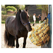 Unbranded Headcollar, Leadrope Haynet Green Pony