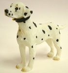 Heidi Ott Dalmation