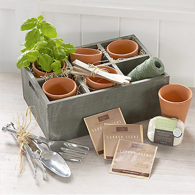 Unbranded Herb Planter Gift Set