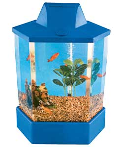 Unbranded Hexagonal Cold Water Fish Starter Kit