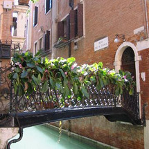 Unbranded Hidden Venice Walking Tour - Adult