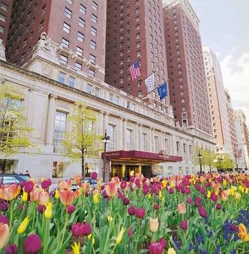 Unbranded Hilton Chicago- Michigan Ave Cultural Mile