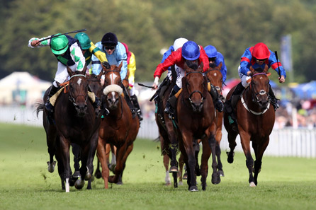 Unbranded Horse Racing Day at Goodwood For Two `PGWHRD SP1