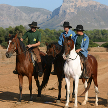 Unbranded Horse Riding and Sunset Barbecue - Child with