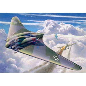 Unbranded Horten Go229 plastic kit 1:72