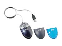 HP COMPAQ USB OPTICAL MOUSE             F2100A