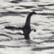 Hunt the Nessie Child Ticket