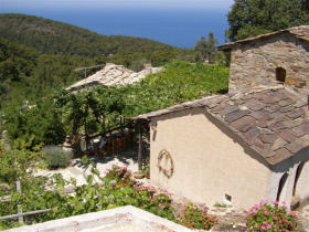 Unbranded Ikaria Island holiday, organic farmstay villas