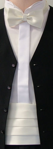 Unbranded Ivory Cummerbund / Bow Tie Set