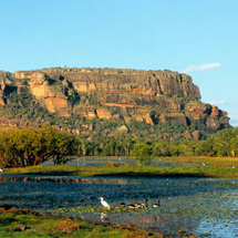 Unbranded Kakadu National Park Day Trip - Adult