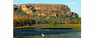 Unbranded Kakadu National Park Day Trip including