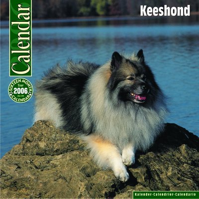 Keeshond 2006 calendar