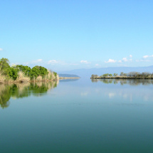 Unbranded Koycegiz Market by Boat from Dalyan - Adult