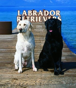 Labrador Retriever Weekly Engagement 2006 calendar