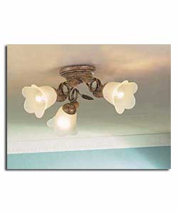 Leaf 3 Light Flush Ceiling Fitting