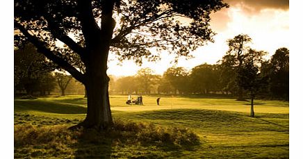 Unbranded Learn to Play Golf at a Marriott Hotel Course