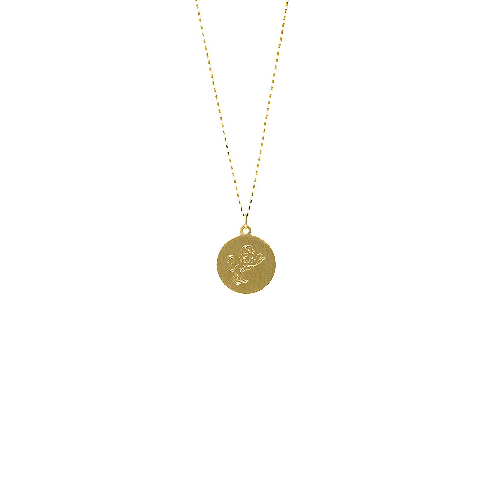 Unbranded Leo Disc Necklace