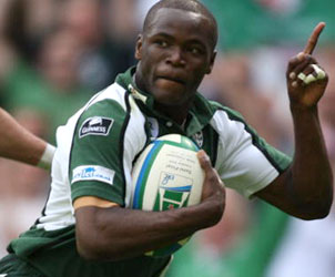 London Irish RFC / Challenge Cup: London Irish v Rugby Rovigo