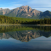 Maligne Valley Wildlife Tour - Adult