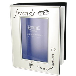 Unbranded Matt Silver Friends Photo Album