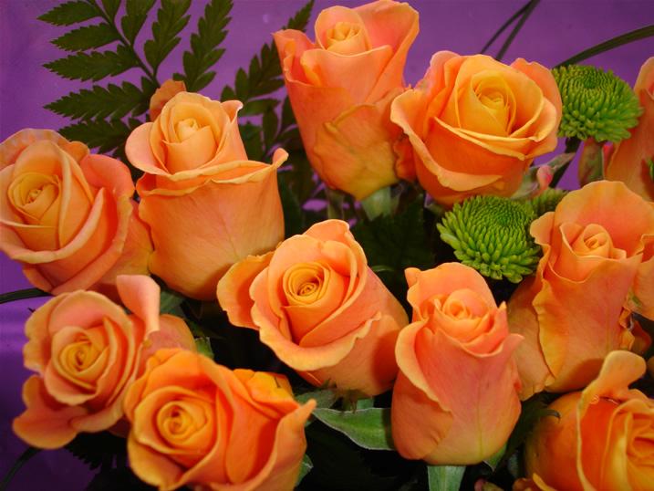 Unbranded Megabox - 40 Orange Roses