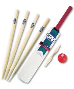 Michael Vaughan Hit 4 Six Cricket Set