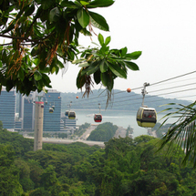 Unbranded Morning at Sentosa Island - Adult