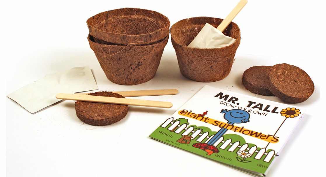 Unbranded Mr Tall Giant Sunflowers Grow Kit