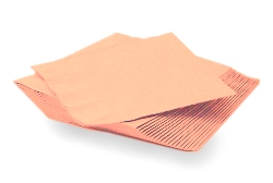 Napkins - Peaches and Cream - pack of 16 U/S