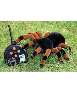 Unbranded Natural History Museum Radio Controlled Tarantula