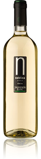 Unbranded Neblina Sauvignon Blanc 2007 Central Valley (75cl)