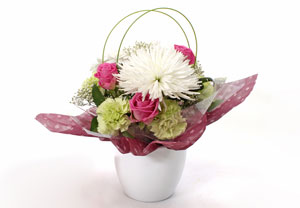 Unbranded New Baby Girl Flower Arrangement