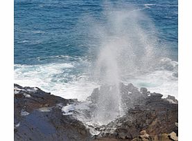 Unbranded Oahu Grand Circle Island Tour, Hanauma Bay and